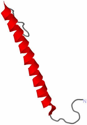 Image NMR Structure - model 1