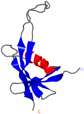 Image NMR Structure - model 1