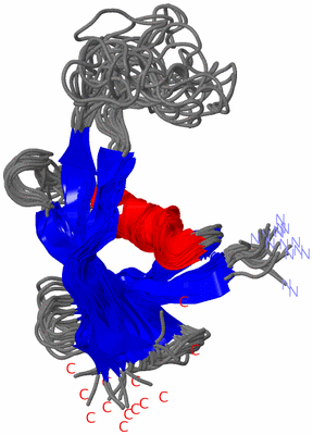 Image NMR Structure - all models