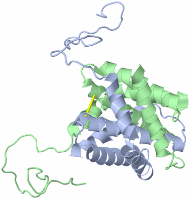 Image NMR Structure - model 1