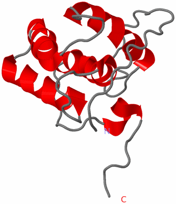 Image NMR Structure - model 1