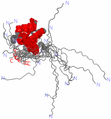 Image NMR Structure - all models