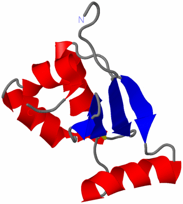 Image NMR Structure - model 1