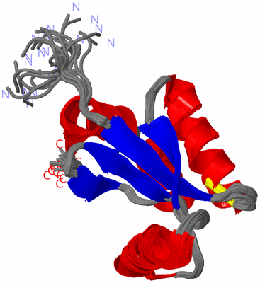 Image NMR Structure - all models