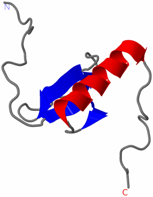 Image NMR Structure - model 1