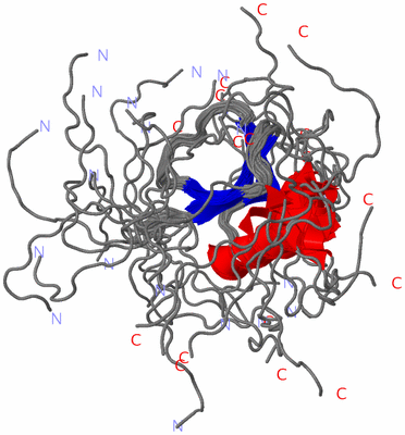 Image NMR Structure - all models