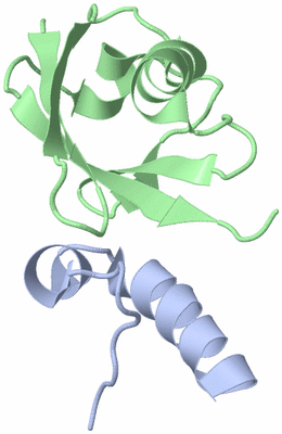 Image NMR Structure - model 1