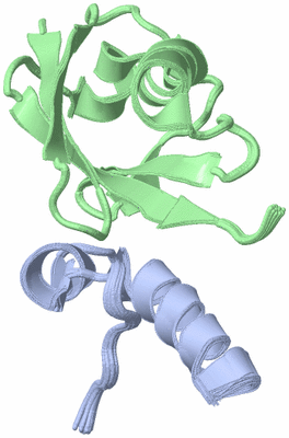 Image NMR Structure - all models