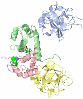 Image NMR Structure - model 1