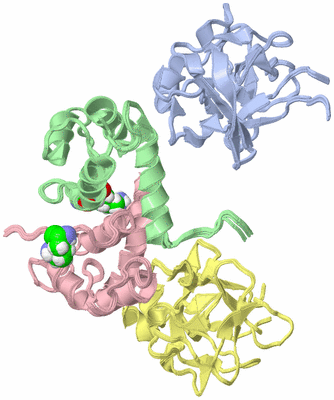 Image NMR Structure - all models