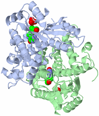 Image Asym./Biol. Unit