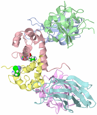 Image NMR Structure - model 1