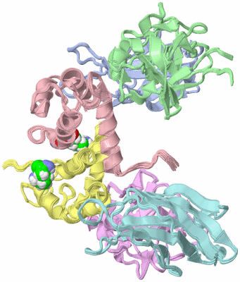 Image NMR Structure - all models