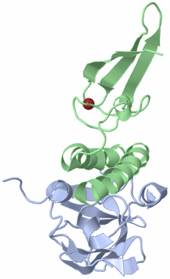 Image NMR Structure - model 1