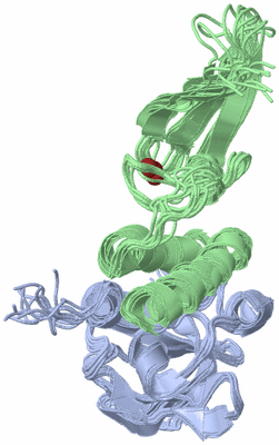 Image NMR Structure - all models