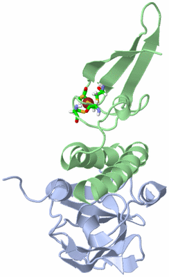 Image NMR Structure - model 1, sites