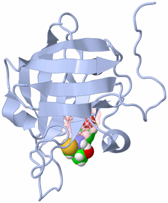 Image NMR Structure - model 1