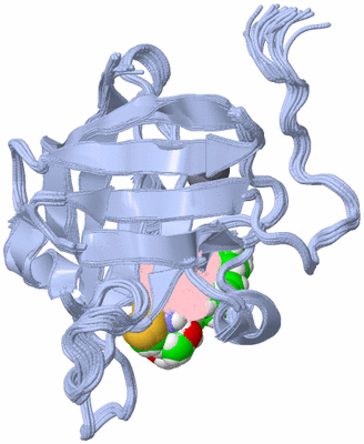 Image NMR Structure - all models