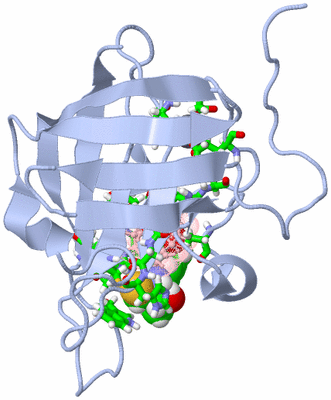 Image NMR Structure - model 1, sites