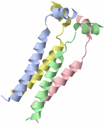 Image NMR Structure - model 1