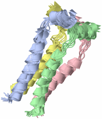 Image NMR Structure - all models