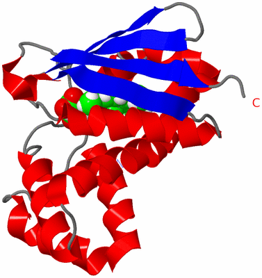 Image NMR Structure - model 1