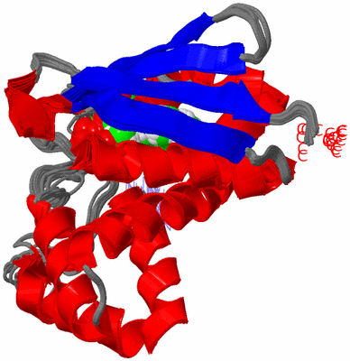 Image NMR Structure - all models