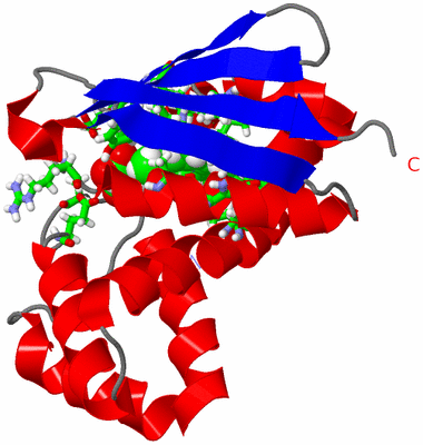 Image NMR Structure - model 1, sites