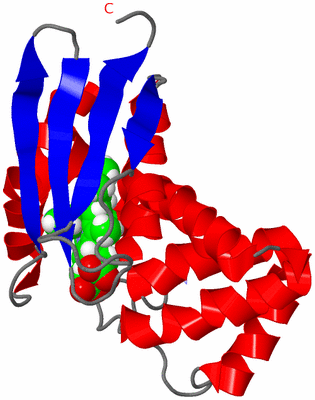 Image NMR Structure - model 1