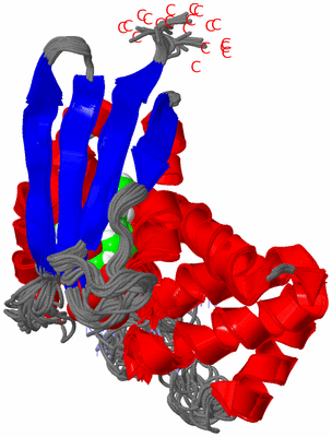 Image NMR Structure - all models