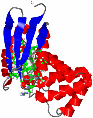 Image NMR Structure - model 1, sites