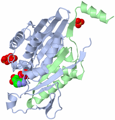 Image Asym./Biol. Unit