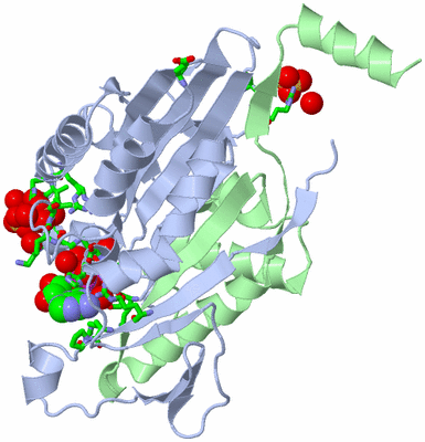 Image Asym./Biol. Unit - sites