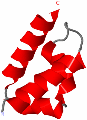 Image NMR Structure - model 1