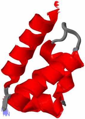 Image NMR Structure - all models