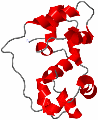 Image NMR Structure - model 1