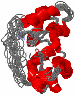 Image NMR Structure - all models