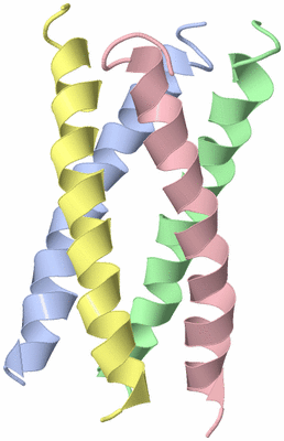 Image NMR Structure - model 1