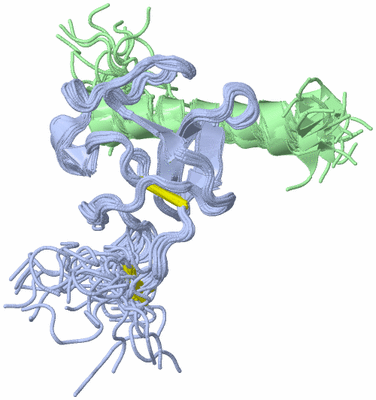 Image NMR Structure - all models