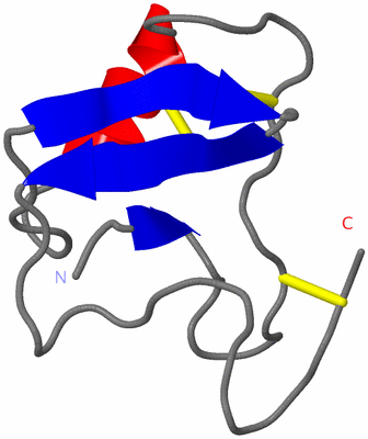 Image NMR Structure - model 1