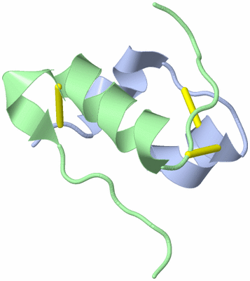 Image NMR Structure - model 1