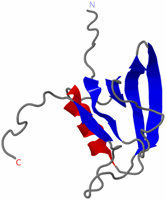 Image NMR Structure - model 1