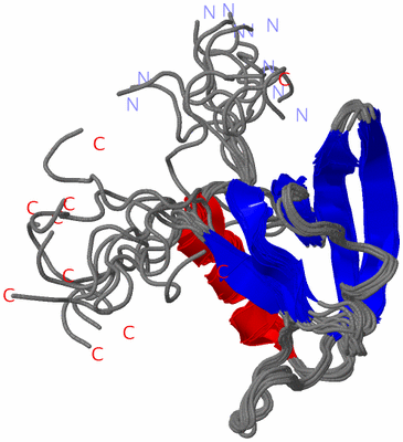 Image NMR Structure - all models