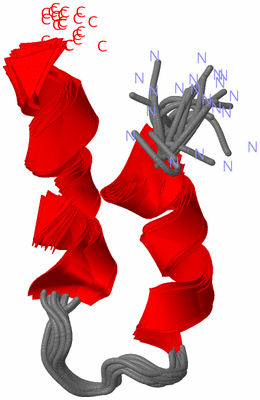 Image NMR Structure - all models