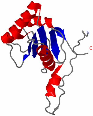 Image NMR Structure - model 1