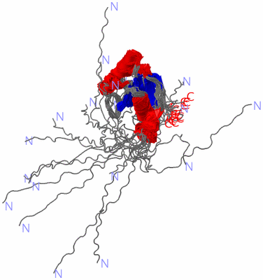 Image NMR Structure - all models