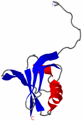 Image NMR Structure - model 1