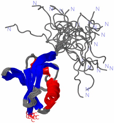 Image NMR Structure - all models