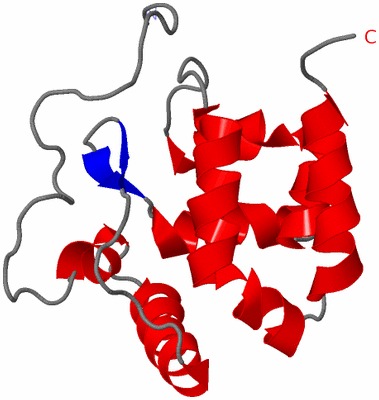 Image NMR Structure - model 1