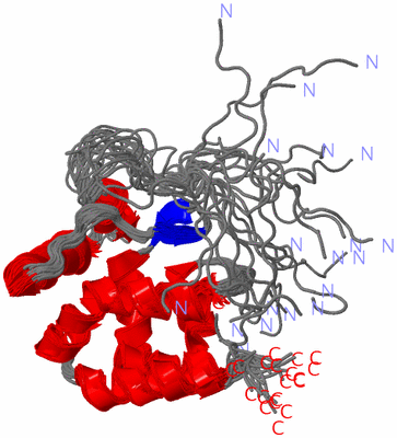 Image NMR Structure - all models